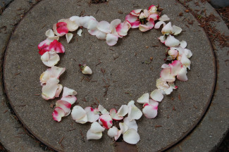 Liebe Blüte Herz Ehe Freundschaft Partnerschaft 