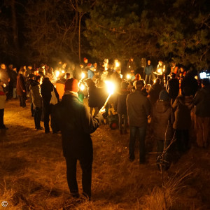 Waldweihnacht Gruppe 